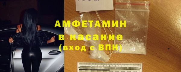 прущие грибы Медвежьегорск