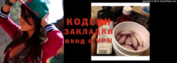 прущие грибы Медвежьегорск