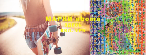 прущие грибы Медвежьегорск