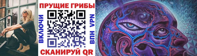 Псилоцибиновые грибы ЛСД  Юрьев-Польский 